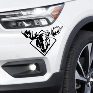 1 Piece decal - MOOSE, High Quality Vinyl for car