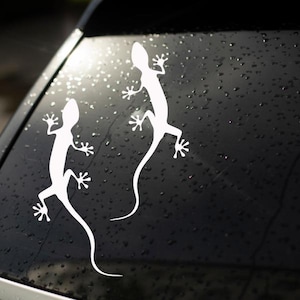 Könnte beinhalten: Ein weißer Vinyl-Aufkleber mit zwei Gecko-Silhouetten auf einer dunklen, regennassen Heckscheibe eines Fahrzeugs. Die Eidechsen sind in einer Kletterpose mit gespreizten Zehen und langen, schlanken Schwänzen dargestellt, was ein kontrastreiches Design ergibt.