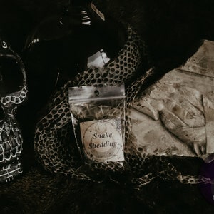 Excrétion de serpent - Peau de serpent, Ingrédient rituel, Vaudou, Hoodoo, Protection, Ingrédient magique, Sans cruauté, Wicca, Sorcellerie