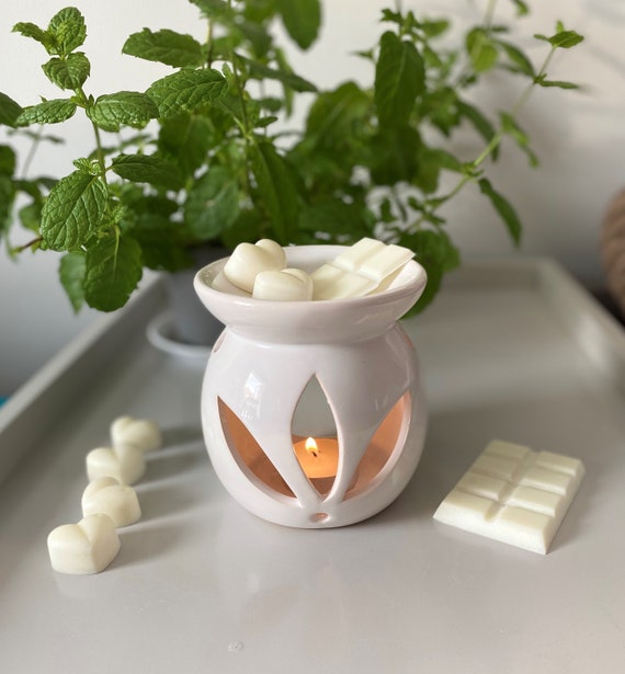 Pumpkin Spice Scented Soy Wax Melts