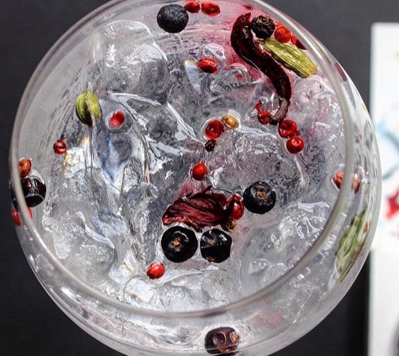 Gin Fusion Kit Gin and Tonic Botanicals Gin Garnish Gin Spice Kit Etsy