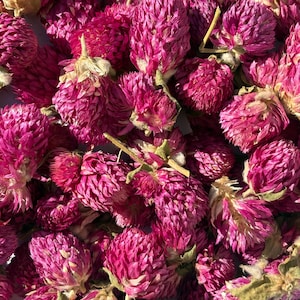 Dried Purple Amaranth Flowers
