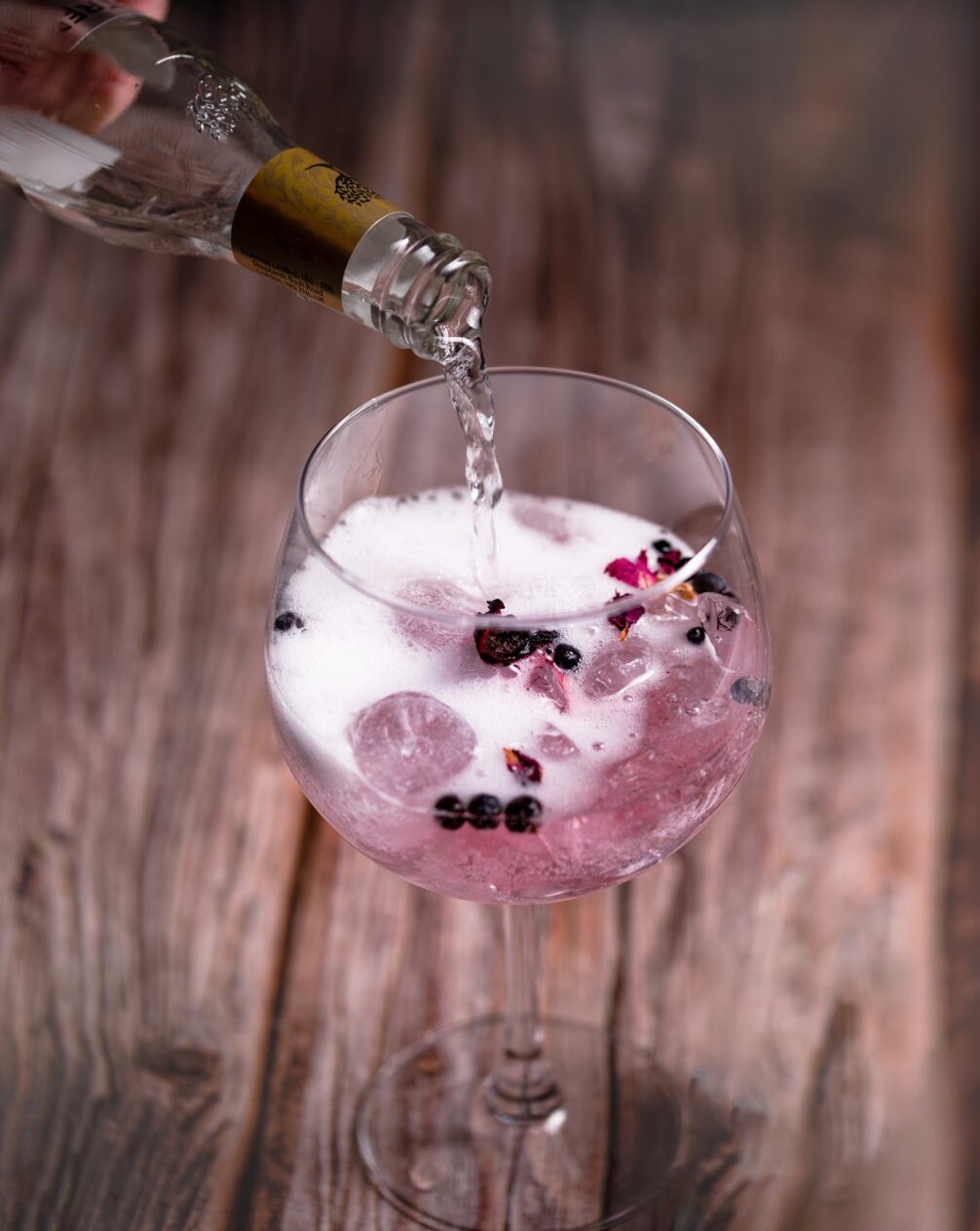 Gin Fusion Kit Gin and Tonic Botanicals Gin Garnish Gin Etsy UK