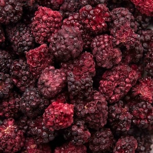 Freeze-Dried Blackberries (35g)