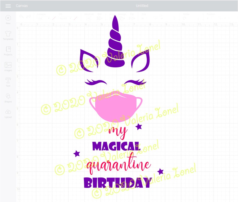 Download Free Svg Birthday 2021 Quarantined File For Cricut