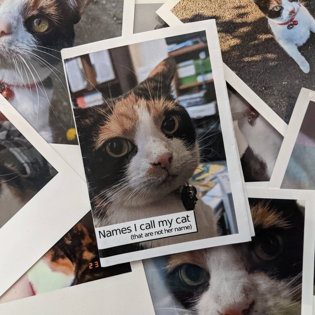Names I Call My Cat That Are Not Her Name Zine Etsy UK names-i-call-my-cat-that-are-not-her-name-zine-etsy-uk