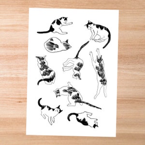 kleiner Junge Schwarz-Weiß-Katze Kunstwerk | A4 A5 Druck | Postkarte | Lesezeichen