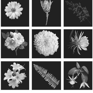 Procreate Tattoo Brushes Realism Flowers Botanical Tattoo - Etsy
