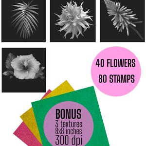Procreate Tattoo Brushes Realism Flowers Botanical Tattoo - Etsy