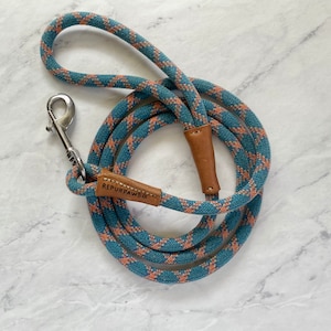 Teal/Orange Dog Leash 6 ft