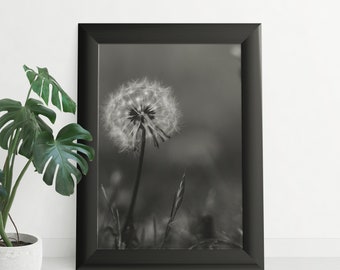 Make a Wish! Black and White Dandelion Puff #2, Nature Photography, Modern Art, wall art, plant, digital print, instant download