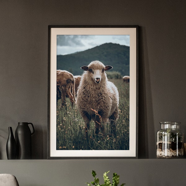 Sheep in Sauerland - Poster - Animal Portrait Print - Moody green