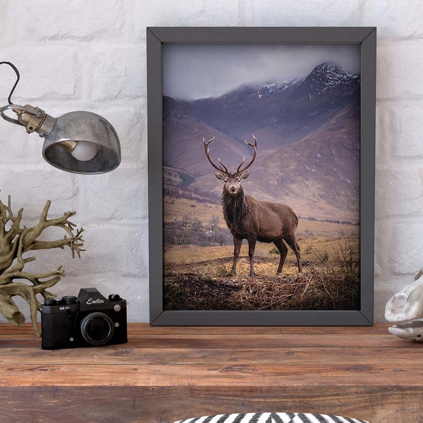 Schottland Print - Scottish Highlands - Hirsch Poster - Stag in Glencoe - Wildlife photography