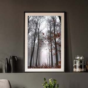 Nebel im Wald - Landschaft im Sauerland Wandbild - Natur Poster als Wanddeko