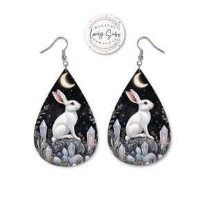 以下が含まれることがあります： 夜空と三日月を背景に、クリスタルをあしらった岩の上に座る白いウサギが描かれた、しずく型のイヤリング。イヤリングはシルバーのフックと、天体のデザインが特徴です。