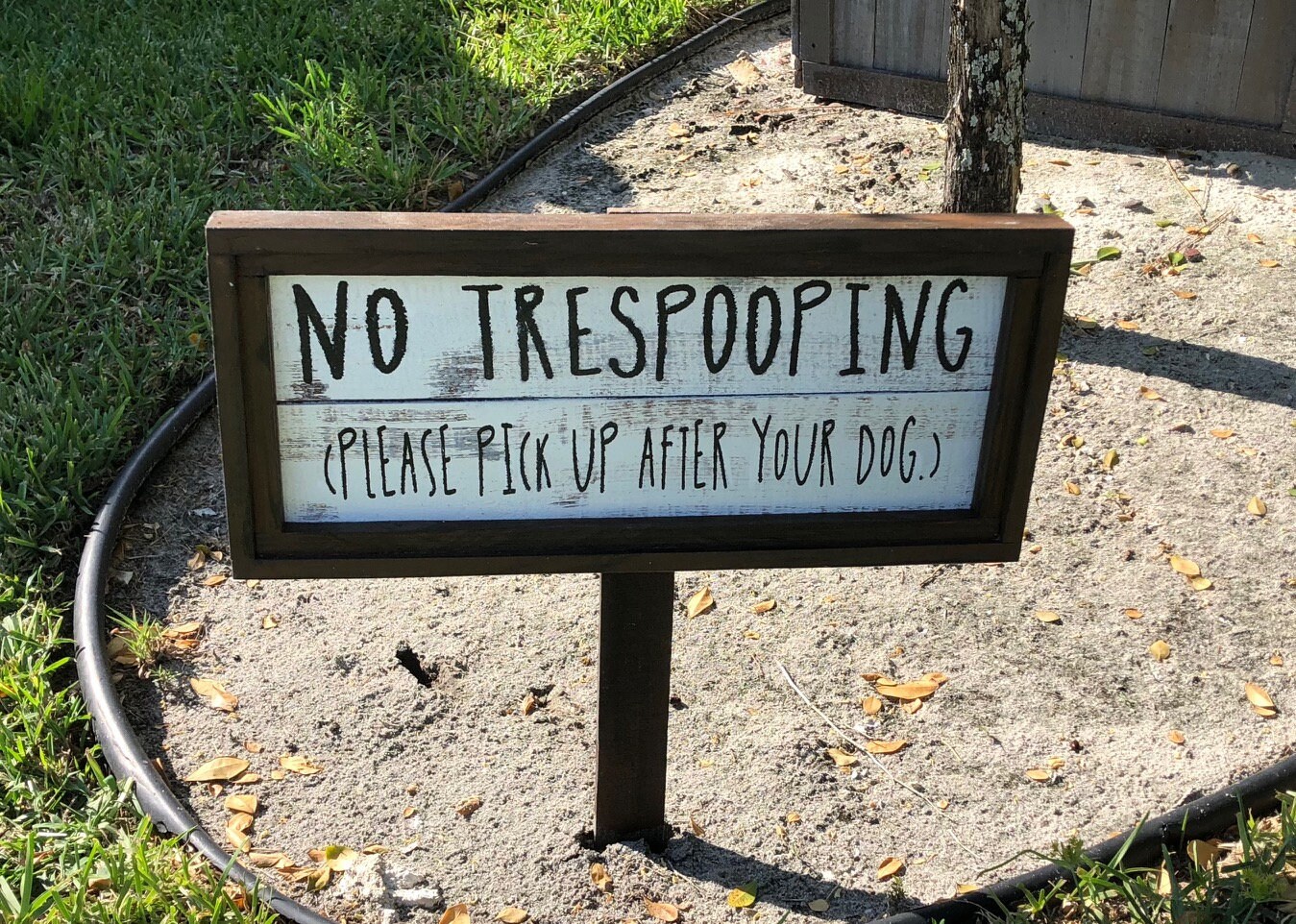 How Can I Keep Dogs Off My Lawn