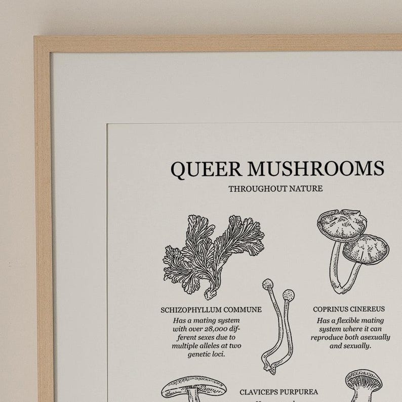 Queer Mushrooms Queer Art Print Cosy Collection Etsy