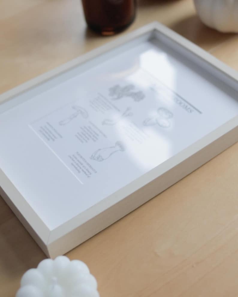 Queer Mushrooms Queer Art Print Cosy Collection Etsy