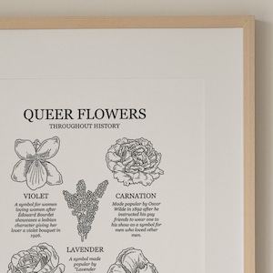 Transgender Art Print | Queer Flowers | Line Art Illustration | Perfect gift for him, gift for her, gift for them