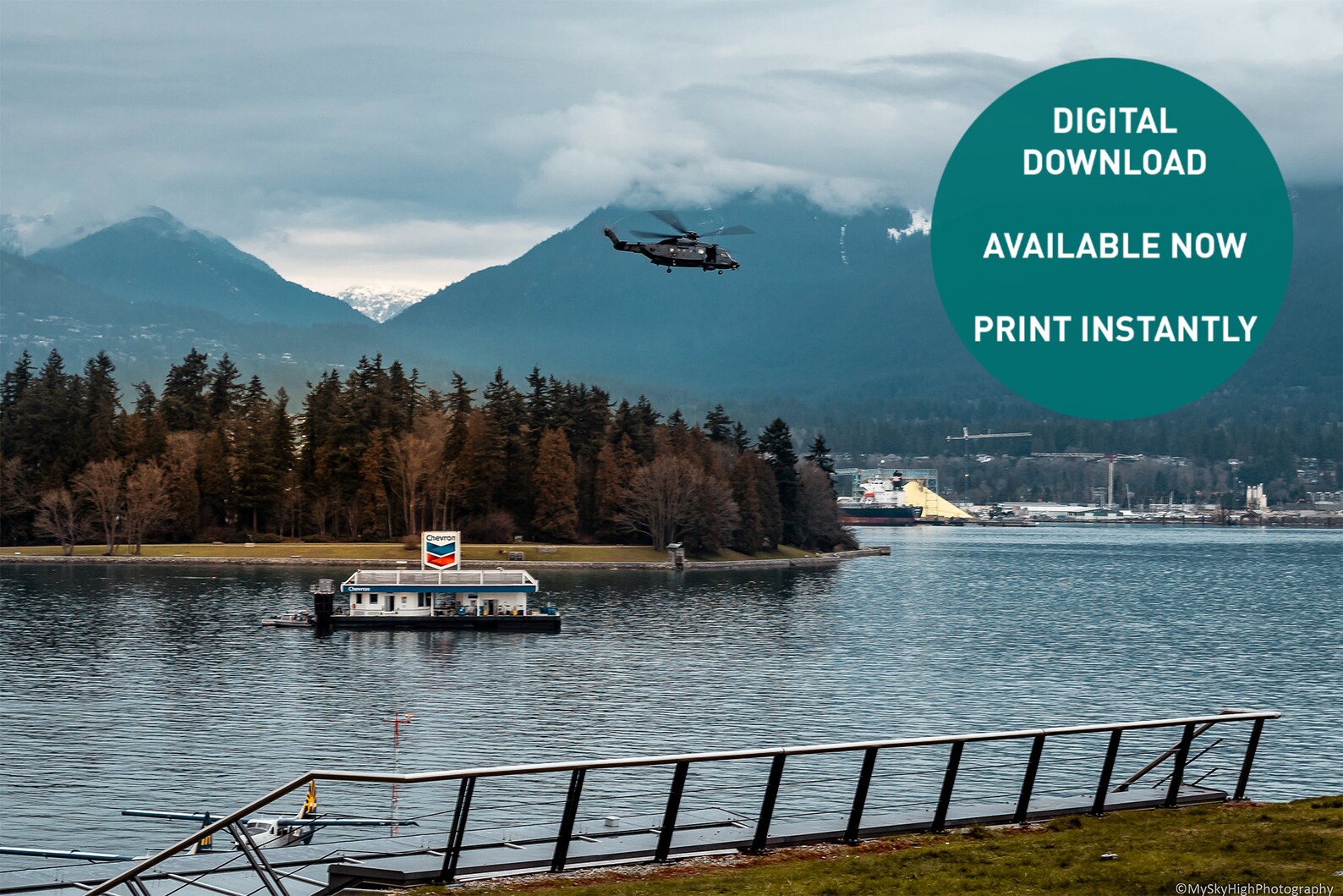 Stanley Park Photograph Mountains Digital Print Photography - Etsy