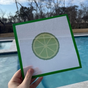 May include: A square needlepoint canvas with a green border and a lime slice design in the center. The lime slice is light green with darker green segments. The canvas is held up against a blue pool.