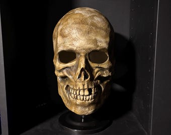 May include: A detailed, weathered skull prop with a beige and brown color scheme. The skull has visible teeth and eye sockets, mounted on a black stand. The prop is likely for Halloween or gothic decor.