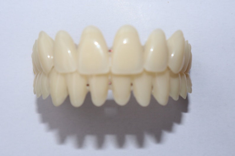 dentures partial denture alginate
