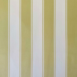 8.7 Yards Designer Vicki Payne Free Spirit For Your Home Collection Green & White Awning Cabana Bold Stripe SAFY-006 Cotton Fabric