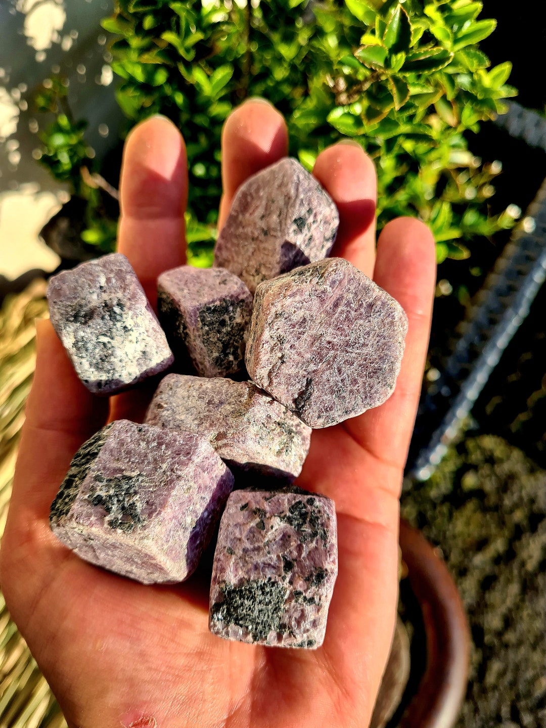 Ruby Hexagons Huge, Large & Medium; Clear Visualization and Positive ...
