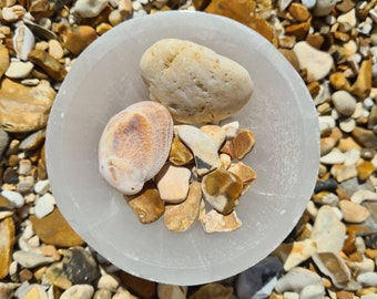 May include: A white selenite bowl filled with small, smooth, brown, white, and tan stones and two seashells. The bowl is sitting on a bed of small, smooth, brown, white, and tan stones.