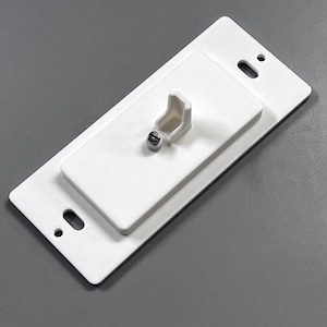 May include: A white electrical light switch plate with a raised rectangular section and a small switch lever. The plate has two oval-shaped screw holes and a small round hole. A small silver screw secures the switch lever.