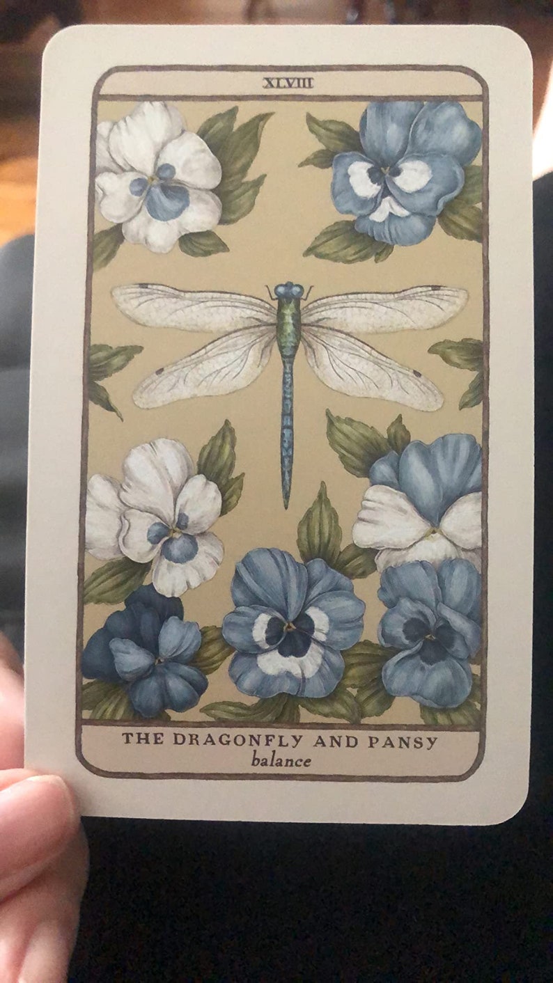 Woodland Wardens Tarot A 52card Oracle Deck & Guidebook Etsy