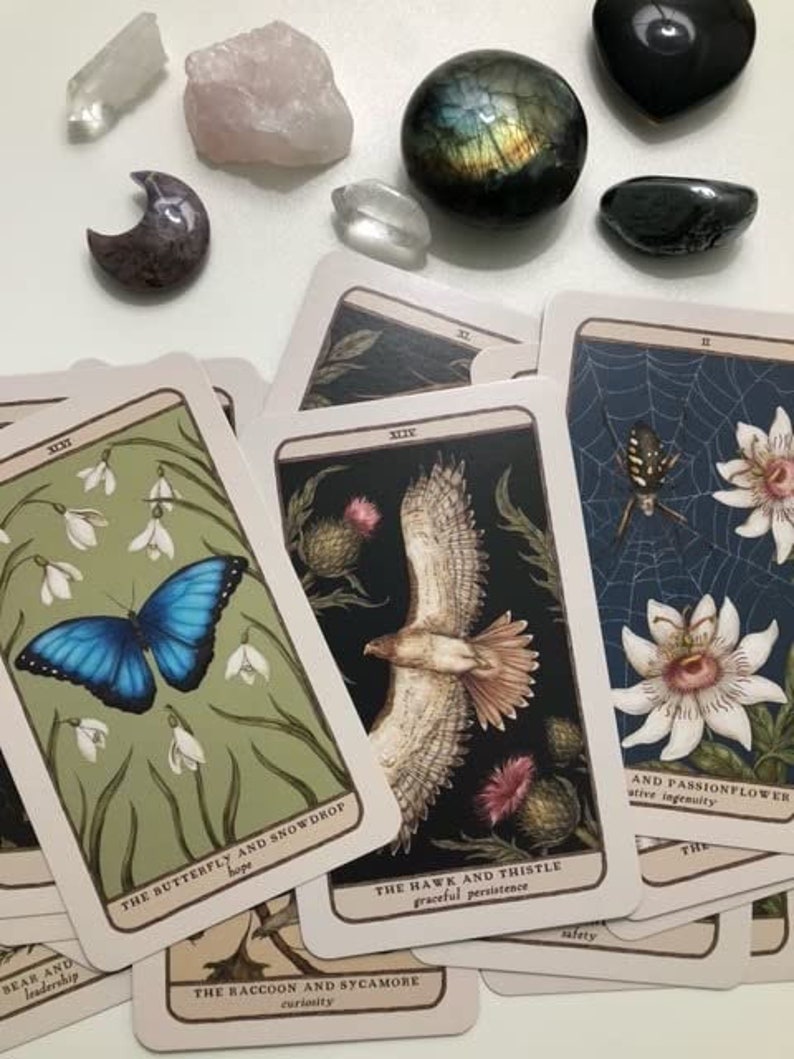 Woodland Wardens Tarot A 52card Oracle Deck & Guidebook Etsy