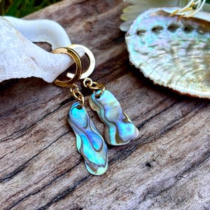 May include: Gold hoop earrings with iridescent abalone shell pendants. The earrings hang from small gold chains. The abalone shells display blue, green, and purple colours. The earrings are shown on a piece of weathered wood.