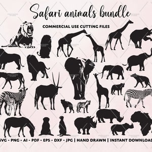 Safari Tiere svg, Afrika svg, Afrika Tiere png, Zoo Tiere svg, Tier SVG Bundle, Tiere Königreich svg, Geschenk für Tierliebhaber