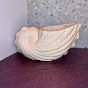 May include: Cream-colored ceramic seashell planter. The planter is shaped like a conch shell with a wide opening for plants. The shell has a textured, ridged surface and a glossy finish. The planter is a decorative item for home decor.