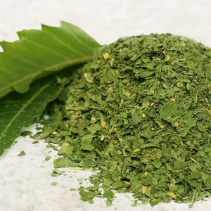 Neem Leaf Leaves High Quality!