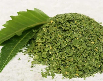 Neem Blatt Blätter Hohe Qualität!
