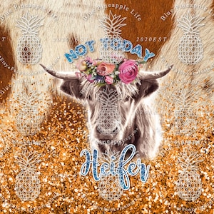 Digital Design Highland Cow Tumbler.  Not Today Heifer.  Cow file. 20 oz *STRAIGHT* Skinny Tumbler PNG file.