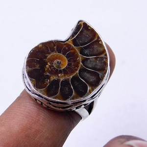 May include: A silver ring with a large, fossilized ammonite stone. The ammonite is brown and has a spiral pattern. The ring is set in a silver band with a decorative design.