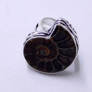 May include: A silver ring with a large, fossilized ammonite set in the center. The ammonite is brown and black with a spiral pattern.