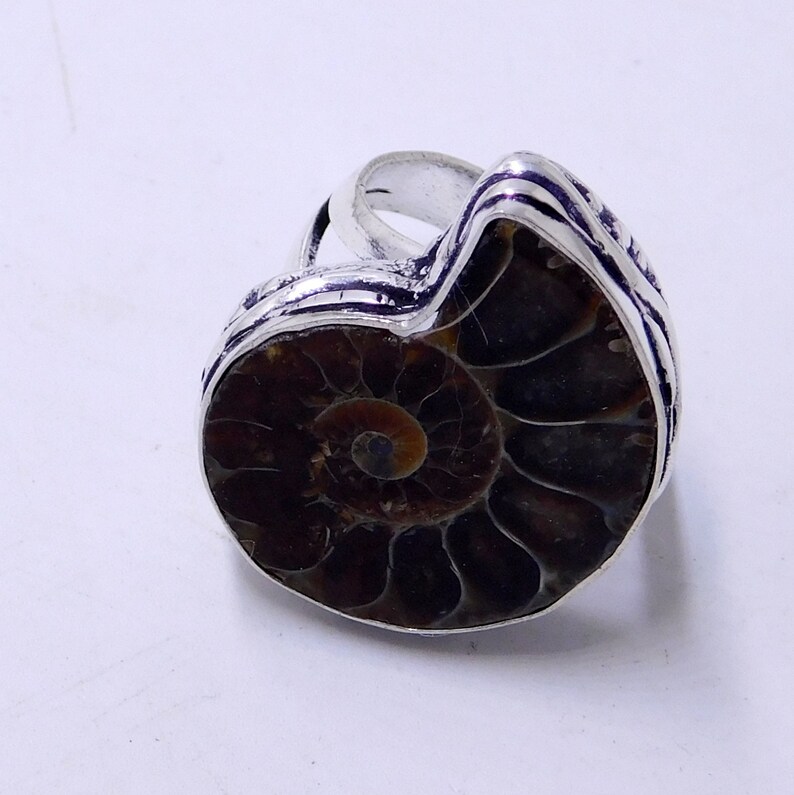 May include: A silver ring with a large, fossilized ammonite set in the center. The ammonite is brown and black with a spiral pattern.
