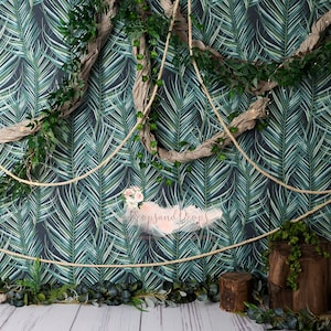 Photography Digital Backdrop Background for Cake Smash, boy sessions, jungle, forest, first birthday, one