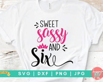 Sweet Sassy And Six SVG, Six Years Old svg, Sassy Since Birth SVG, Sassy SVG, Birthday shirt svg, 6th Birthday svg, dxf and png cut files