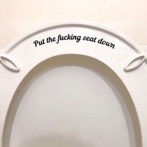 Put the fucking seat down vinyl decal / Funny Bathroom Decal - Toilet Sticker Decal