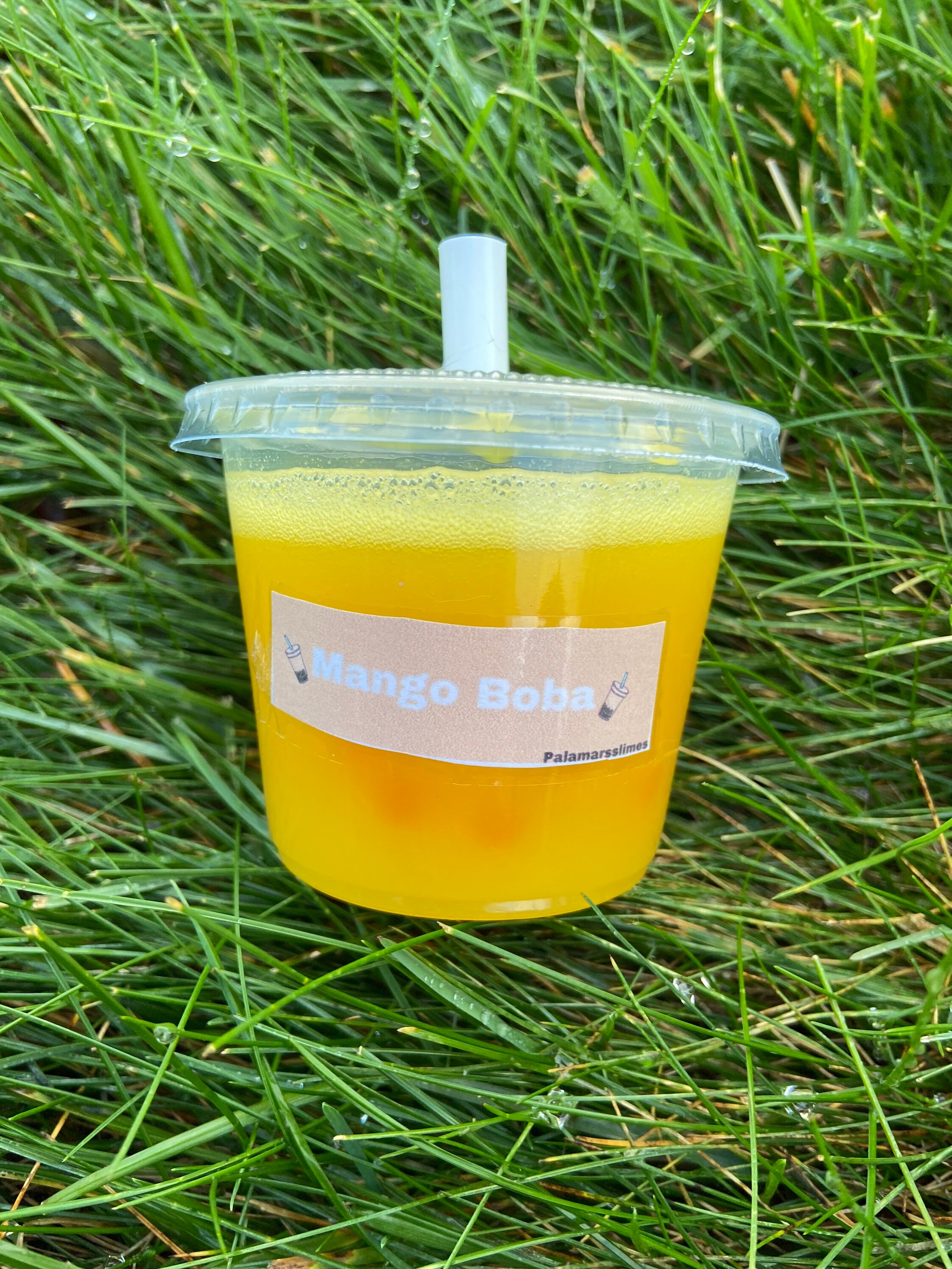 Mango Boba Slime Etsy