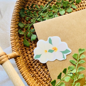 Island Plumeria Flower Sticker | water resistant