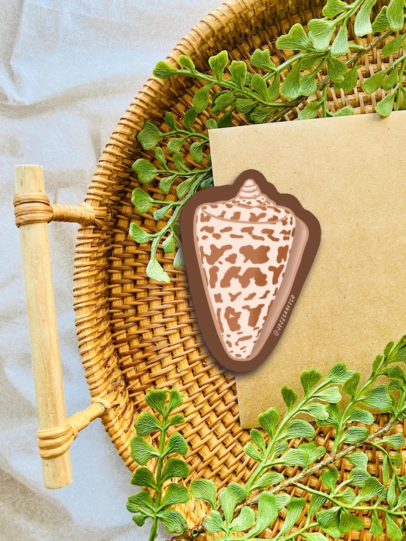 Shell Sticker | Water Resistant, Durable