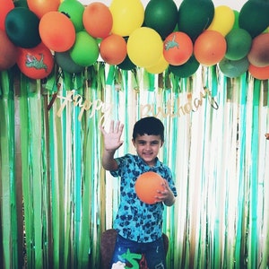 Dinosaur Birthday Theme Backdrop, Dino Party Fringe, Photo Streamer Backround, Photo Streamer Backdrop, Fringe Party Decor, Birthday Party