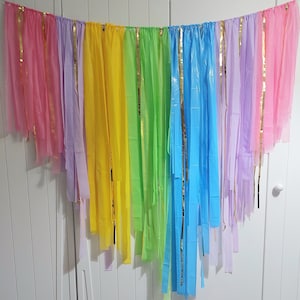 Fondo Fringe, Rainbow Plastic Fringe Decor, Pastel Streamer Garland, Birthday Ornament, Baby Shower Party Shimmer Curtain, Unicorn Party